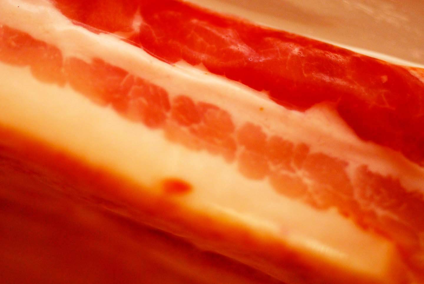 Bacon grease | Homesick Texan