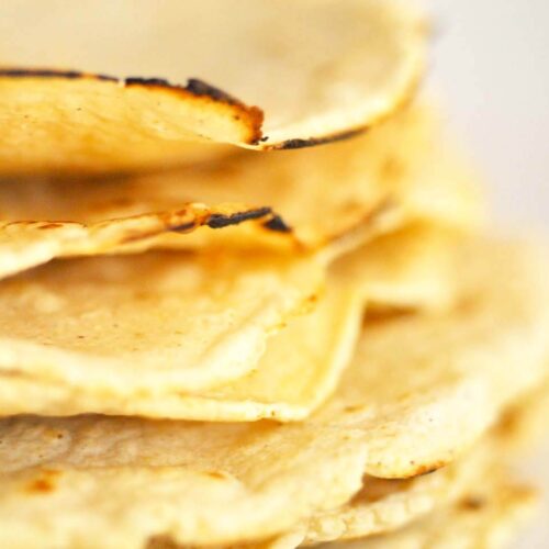 Corn tortillas DSC 7009