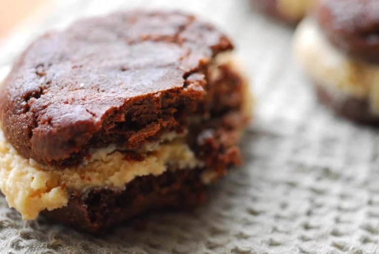 Chocolate and peanut butter ice cream sandwiches