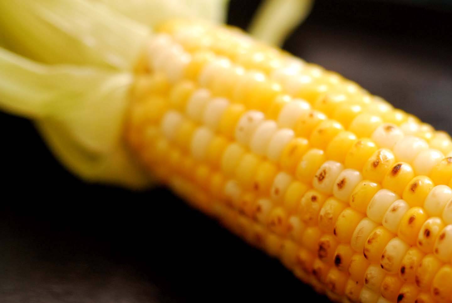 Mexican corn on the cob | Homesick Texan