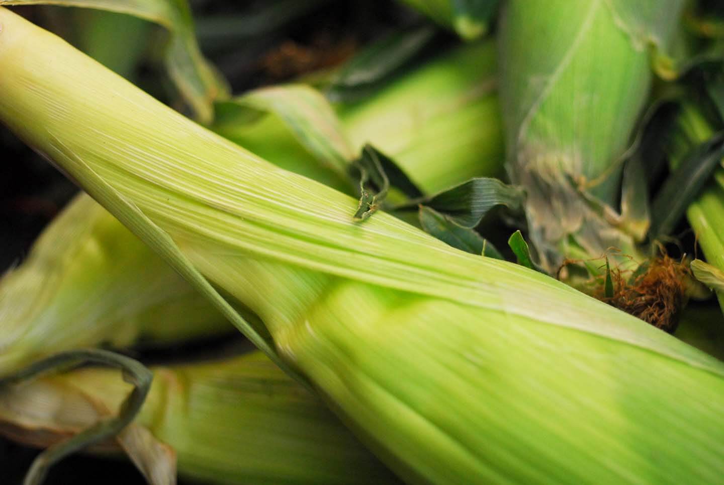 Mexican corn on the cob | Homesick Texan