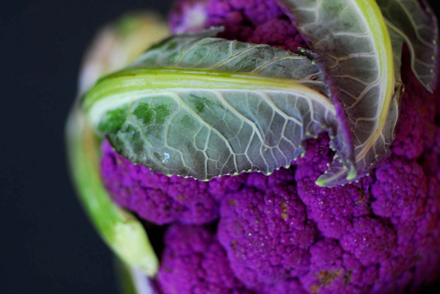 Roasted cauliflower with garlic and sage | Homesick Texan