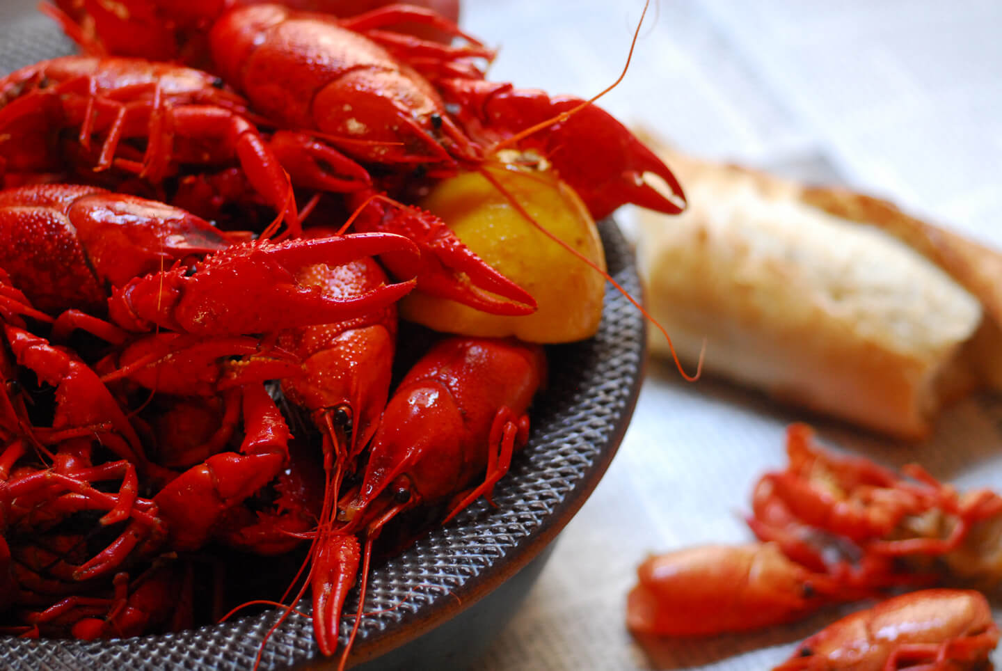 live crawfish in water