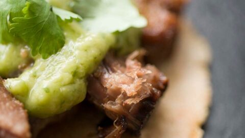 carnitas houston style homesick texan