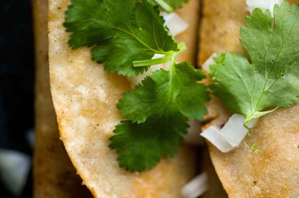 Beef flautas, how to make the best Homesick Texan