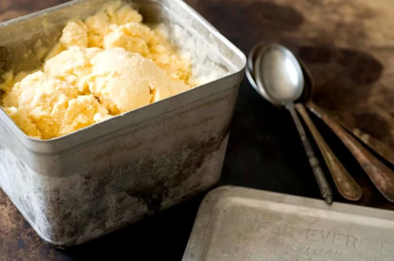 Cantaloupe ice cream DSC6256