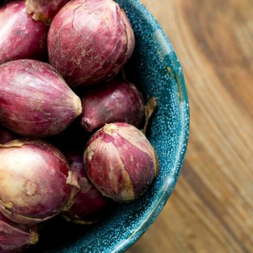 Spicy red onion jam DSC8973