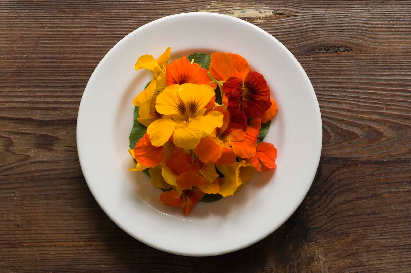 Texas potato salad with nasturtiums | Homesick Texan